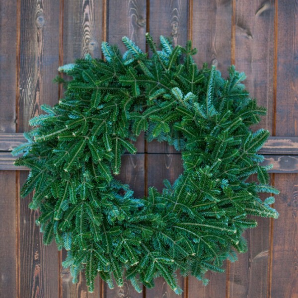 fraser fir christmas wreath